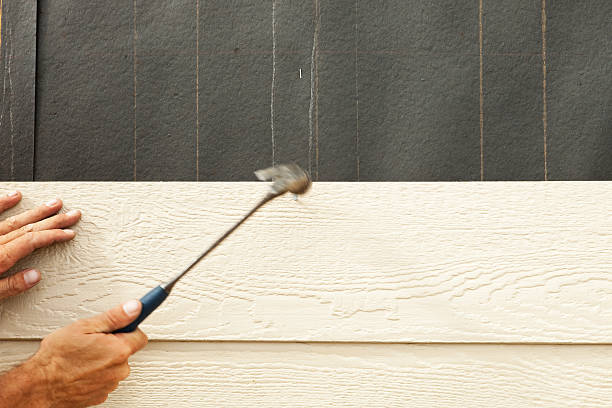 Best Engineered Wood Siding  in Spanish Fort, AL